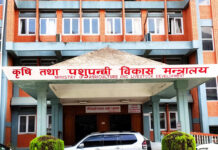 चैते धानको समर्थन मूल्य तोक्न अध्ययन शुरु