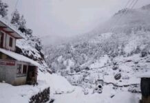 बाजुराको उच्च भेगमा वर्षातसंगै हिमपात हुँदा किसान खुसी