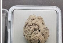 ब्राउन सुगर सहित जना तीन पक्राउ