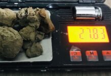 झापासहित चार जिल्लाबाट ब्राउन सुगरसहित आठ जना पक्राउ