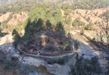 जातीय विभेद्विरुद्धको जीवित सङ्ग्रहालय