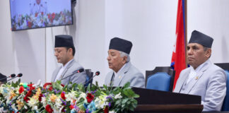 संविधानको भावना र जनचाहनाबमोजिम काम गर्न राष्ट्रपतिको आग्रह