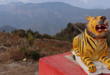 बाघखोरमा बाघको प्रतिमासहितको ‘पार्क’ निर्माण