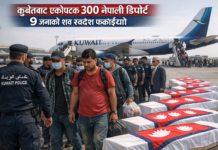 कुवेतबाट एकैपटक ३०० भन्दा बढी नेपाली डिपोर्ट, ९ जनाको शव पनि स्वदेश फर्काइयो