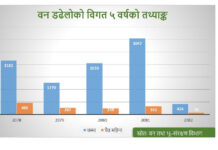 मनसुन पूर्वको वर्षाले घटायो वन डढेलो