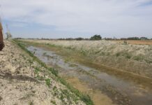 गण्डक नहर सरसफाइ अभियान तीव्र गतिमा