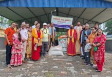 जन्मदिनको अवसरमा बिमलाद्वारा गाैमातालाई आहारा सहयोग