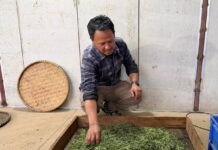 ‘ब्रान्ड’ बन्दै ‘जस्बिरे चिया’