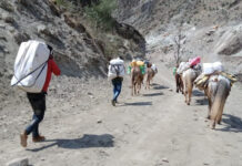 फिलिम–लार्केपास पदमार्गमा खच्चड आवतजावतमा रोक