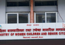 बालबालिकासम्बन्धी ऐन संशोधन गर्दा कार्यान्वयनमुखी बनाउनुपर्ने सुझाव