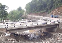 मदन भण्डारी राजमार्गः झापा, मोरङ र सुनसरीमा पुल निर्माण गरिँदै